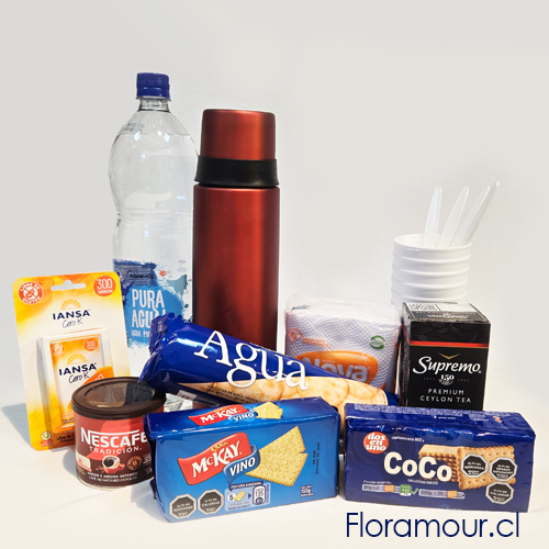 Conjunto: Termo, Tarro caf&eacute; peque&ntilde;o, caja de t&eacute;, endulzante, galletas, botella de agua, servilletas, vasos y cucharas desechables.